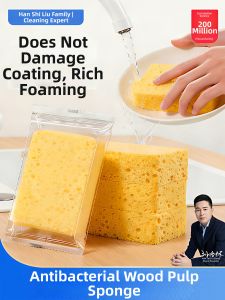 HANSHILIUJIA | Non-greasy Oil Cleaning Sponge