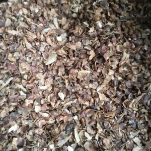 angkup angkop kelopak bunga cengkeh 1 kg kering.