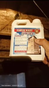 SUARA WALET PANGGIL AGT BONUS PARFUM WALET JAWARA