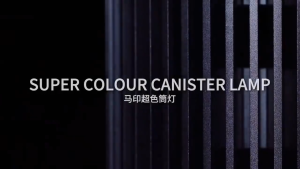 ⚡SG Official Distributor⚡MAYIN Super Colour Canister Lamp for Goldfish