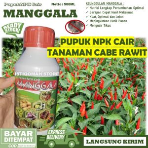 MANGGALA 500ml - Pupuk NPK Cair untuk Tanaman Cabe Rawit Sampai Bosan Petik Cabe Merah dll - Pupuk Pelebat Buah Cabe Rawit - Pupuk Perangsang Buah Cabe Rawit - Pupuk Penyubur Cabe Rawit - Pupuk Khusus untuk Tanaman Cabe Rawit TERLARIS