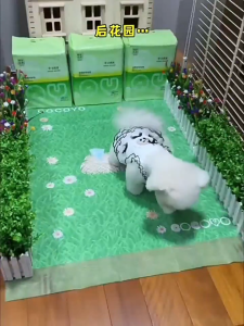 Cocoyo Dog Cat Puppy Pee Pad dog cage wee wee pad pet dog Leak-proof 8-Layer urine pad with Quick-dry Surface for Potty Training mat Thick Versions WEE WEE PAD 80/40/20/10 pcs 草地印花尿垫