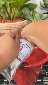 ชุดแม่ปุ๋ย AB สูตรเข้มข้น ขนาด 50 ลิตร สำหรับผักไฮโดรโปนิกส์ ใช้กับผักสลัดและผักไทย สามารถใช้เป็นปุ๋ยทางใบได้เลย