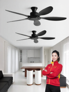 HUANGJIANG | High Power Quiet Ceiling Fan 56 Inches