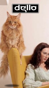 Solusi Kutu Terdepan: Obat Tetes Inovatif untuk Kucing yang Bahagia & Sehat