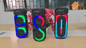Dual 4" Speaker Horn KTV Wireless Speaker Trolley RGB LED Portable Karaoke TWS Bluetooth FM USB MIC (ZQS-4270)