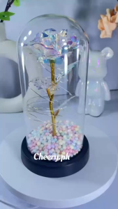 [24H-SHIP] Eternal Rose Glass Lampshade Couple Gift Girlfriend Birthday Surprise Touching Birthday Gift Anniversary Proposal Gift