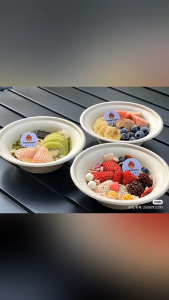 10 Pcs Mangkok Sugarcane 350 Ml | Mangkok Tebu | Mangkok Daur Ulang Tebu | Bagasse Dessert Snack Bowl 350 ML SH AE30