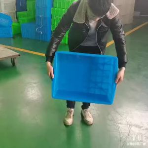  YYBAIO | Hộp Lưu Trữ Chia Ngăn Nhựa