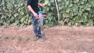 เครื่องมือปลูกต้นกล้า เมล็ดถั่ว เมล็ดพันธ์ ข้าวโพด ข้าว ที่หยอด เครื่องหยอดเมล็ด เครื่องปลูกต้นกล้า