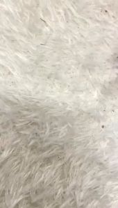 FOREVER - BOTOL MINUM OLAHRAGA COME ON 650ML BOTOL MINUM ANAK VIRAL BPA FREE 2339