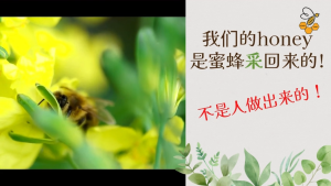 Thailand 100% Pure Wild Flower Honey 泰国纯野花蜂蜜蜂蜜