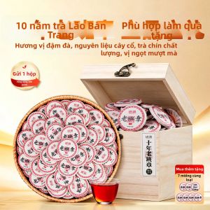BANRUN | Trà Puer Chín Cây Cổ Thụ Yunnan Trên 10 Năm