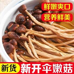 Nấm Hương Sấy Khô Dùng Để Nấu Soup