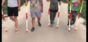 Multifunctional Knapsack Fertilizer Applicator: A Comprehensive Guide