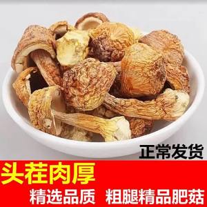 Premium Quality Dried Brazilian Mushrooms 500g
