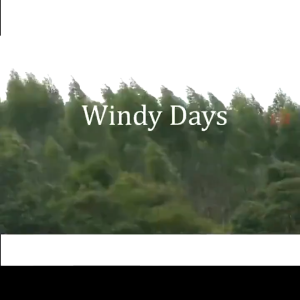 130X210CM Emergency Rescue Blanket Insulation Sunscreen Keep Warm