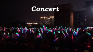 Concert Foam Light Stick LED Glow Sticks Cheer Tube Glow In The Dark Light Birthday Wedding Party Concert Supplies
