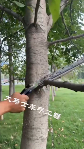 Handsaw  จัดส่งจากกทม เลื่อยมือ เลื่อยตัด  นำเข้าจากประเทศญี่ปุ่น เลื่อยพกพา สำหรับตัดกิ่งไม้ ถอดออกได้ เสริมความหนา ร้านคนไทย 100%