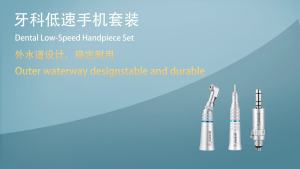 2Holes Dental Slow Low Speed Hand Piece E-Type Straight Nose Cone Contra Angle Air Motor Kit Push Button Adjustable Water Spray Nozzle Silver