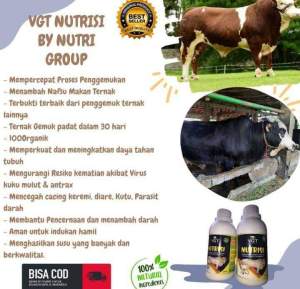 VGT Nutrisi ternak sapi kuda kambing kelinci nafsu makan original probiotik obat mencret