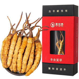 JUHETAI | Nutritious Cordyceps Sinensis For Soaking Wine and Water