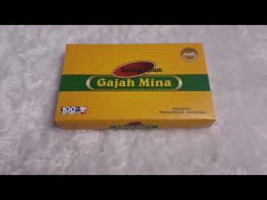 SARUNG TENUN DEWASA GAJAH MINA SARUNG SUPER QUALITY GROSIR TERMURAH BERKUALITAS