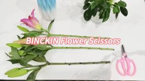 Flower Scissors - 4 Pcs Stainless Steel Flower Shears Garden Plant Floral Shears for Fresh Flowers Stems (Blue Green Pink Violet)