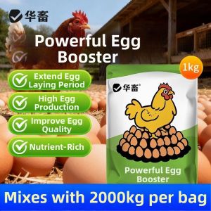 HUAXU | Increase Egg Production Feed Additive