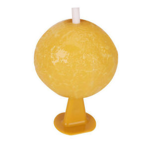 Fly Mosquito Fruit Fly Capture Double-sided Sticky Traps