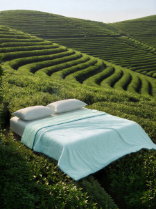 JALICE | A-Class Coolness Single/Double Summer Air Conditioner Quilt