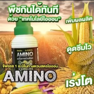 Gด่วน อะมิโนทางด่วน สูตรไอออน ดูดซึมทันทีที่ฉีดพ่น เร่งโตพืช ผลดก