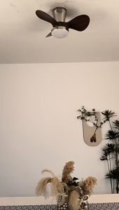 New Style Ceiling Fan with Llights Living Room Ceiling Light with Fan Used for Dining Room Balcony,Aisle,Dressing 220V