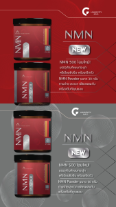 NMN Powder ช่วยเพิ่มระดับ NAD+ ในร่างกายและชะลอวัย (30 Grams)