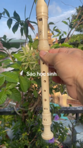 Sáo Recorder 8 Lỗ Dễ Thổi Cho Học Sinh Học Âm Nhạc ( Tặng Túi Và Que Vệ Sinh)