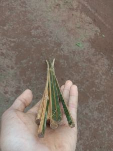 10 bilah bambu bahan layangan tinggal serut