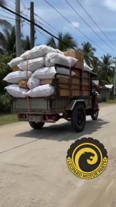 LEO TIRE FORCE Tricycle Motorcycle Traysikel Gulong Wholesale 8Ply Heavy Load Matibay Anti Skid Multi Size 17 Inch