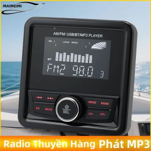 Đầu Phát Đa Phương Tiện Âm Thanh Nổi Trên Thuyền AD Boat Radio MP3 Tích Hợp AM FM RDS Bluetooth AUX Phát Video Dành Cho Du Thuyền ATV UTV Ô Tô