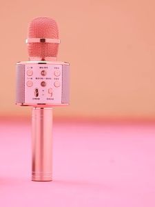 WS 858 Wireless Bluetooth Microphone KTV Karaoke Handheld Mic HIFI Speaker All-in-One Live Broadcast Childrens Gift