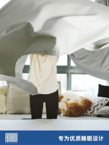 Modern Minimalist Double Thread Horse Cotton Bed Sheet Four Seasons 100 Thread Count Satin Weave Versatile Pure Color Design