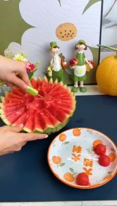 Bộ dụng cụ cắt tỉa hoa quả rau củ chuyên nghiệp tiện lợi HAKY046 set 3 món tạo hình hoa quả chất liệu thép không gỉ