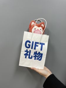 Cute Fox Plush Keychain Fox Expression Series Hanging Ornament Funny Fox Bag Charm Girls Birthday Gift Alish Fox Toy