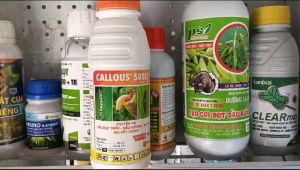 CALLOUS 500EC Chai 450ml Sản phẩm CTY UPL chuyên trị Sâu Đục thân Bõ trĩ sâu khoang