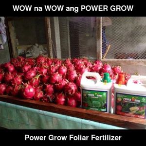 Power Grow Foliar Red and Green Plant Growth Soil Enhancer | Fruit and Flower Booster by Dynapharm 1 Gallon and 1 Liter
