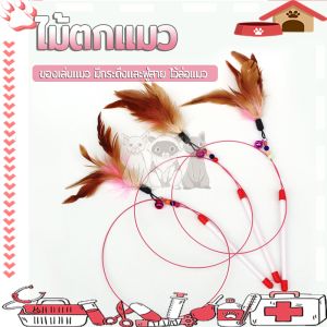 ไม้ตกแมว ของเล่นแมว สายยาว 66 ซม. ไม้ล่อแมว รุ่นปอมปอม มีกระดิ่ง/ ไม้แมว ขอเล่นแมว ไม้แมว ยาวสุด ไม้ตกแมวขนนก