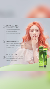 Bremod Hair Color Cream (Basic Colors) 100ml (NO OXIDANT INCLUDED)   BR-R301