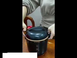 Nồi cơm điện Chigo 12L nồi cơm mini nấu đa năng nấu cơm hầm cháo hấp xào luộc an toàn tiện lợi thiết kế chống tràn hiện đại