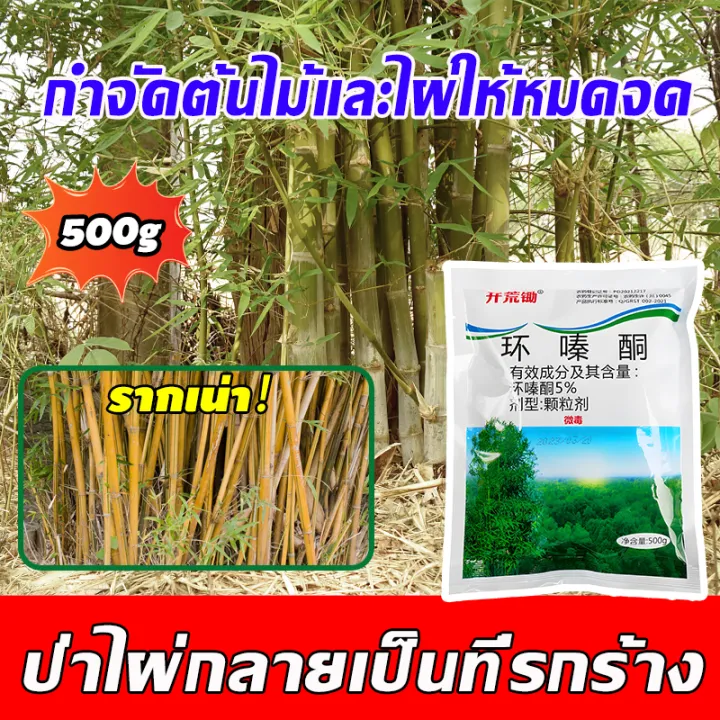 สารกำจัดกอไผ่ เฮกซาซิโนน 5% (500g) รากไม่ขึ้นอีก