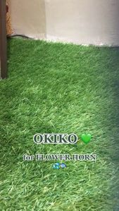 100g Okiko Head Up Huncher Quick Red Pet Fish Dry Food Head Growth Floating Pellets Enhancement