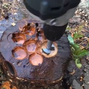 Mata Bor Engsel Sendok SET 5Pcs Mata Bor Forstner Bit Pelubang Kayu Engsel Sendok Set isi 5 pcs Mata Bor Pelubang Kayu Forstner